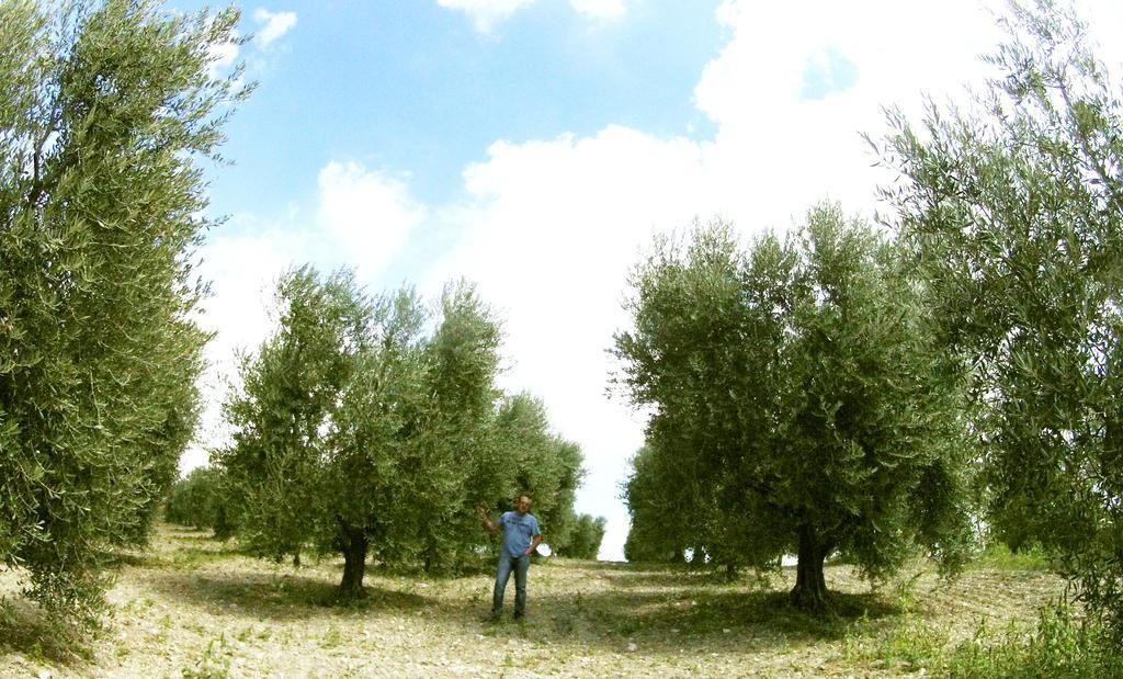 Aia Di Lazzaro Agriturismo Casalbore Ngoại thất bức ảnh