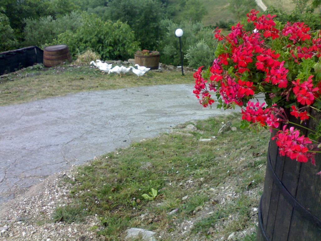 Aia Di Lazzaro Agriturismo Casalbore Ngoại thất bức ảnh